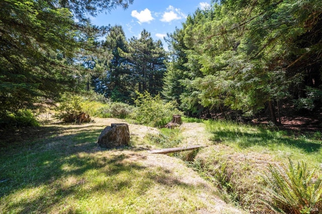 18751 Appian Way, Navarro, CA 95463 - view of yard with a wooded view