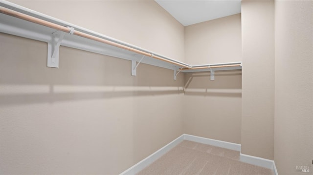 walk in closet with carpet