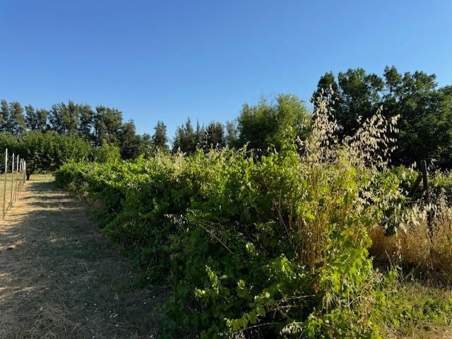 view of nature