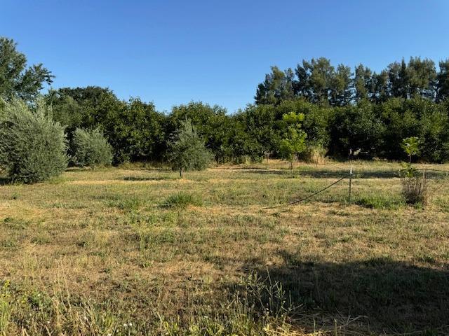 view of landscape featuring a rural view