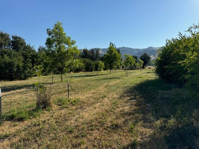 view of local wilderness with a mountain view and a rural view