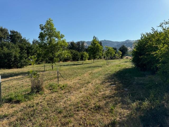 view of yard with a rural view