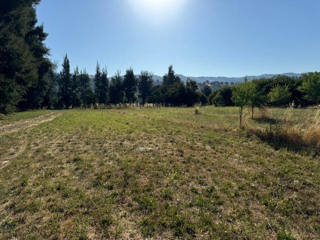 view of nature with a rural view
