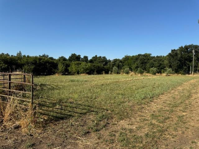 view of landscape featuring a rural view