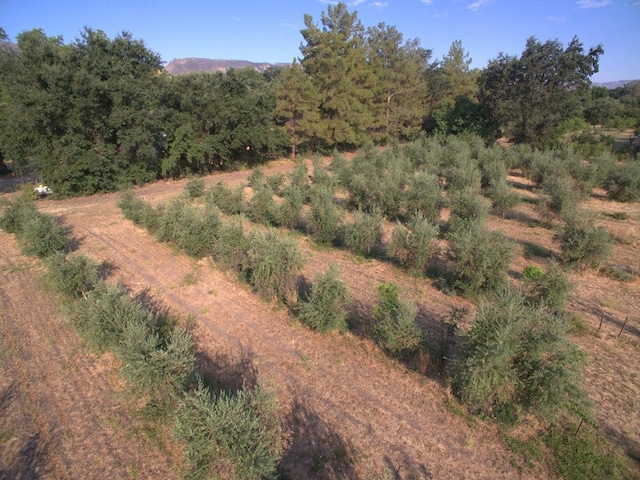 view of landscape featuring a forest view