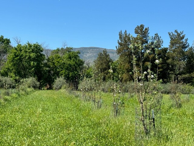 view of nature with a mountain view