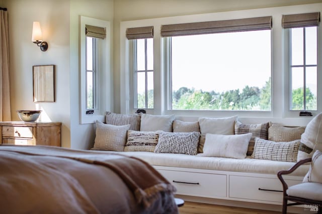 bedroom featuring wood-type flooring