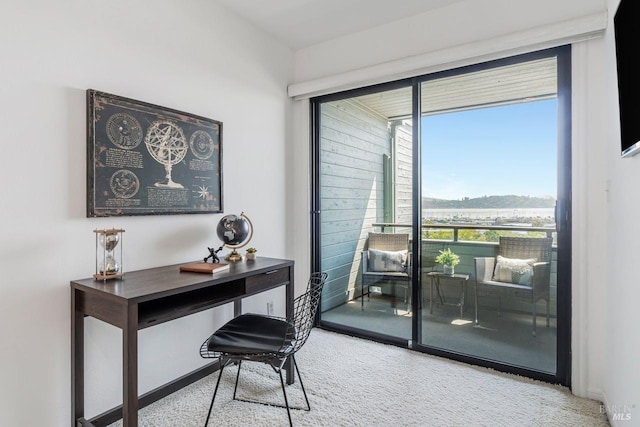 home office with carpet flooring