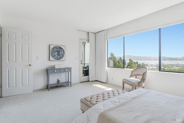 carpeted bedroom with a mountain view