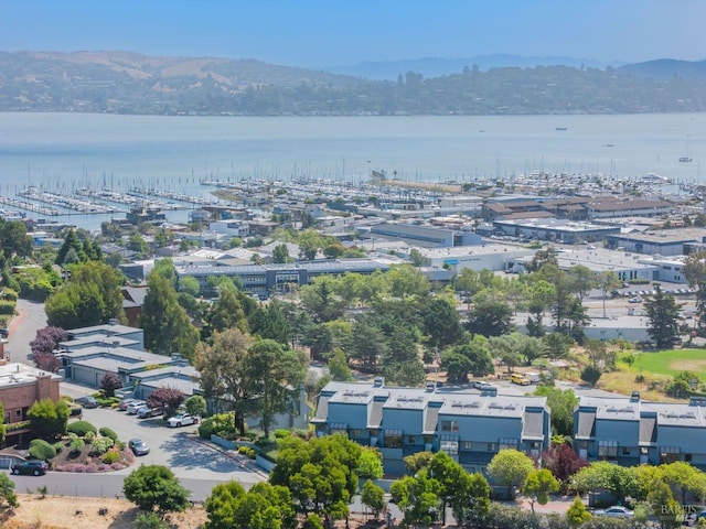 birds eye view of property featuring a water and mountain view