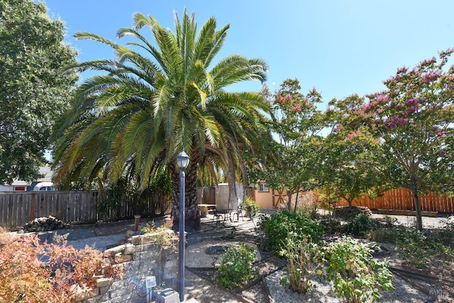 view of yard featuring a patio area