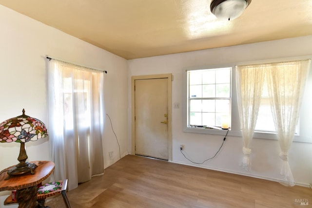 doorway with plenty of natural light and light wood-type flooring