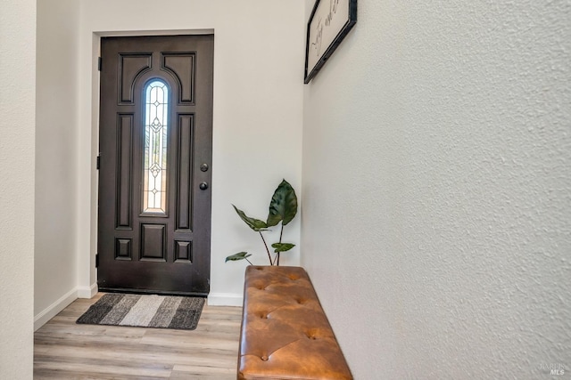 foyer entrance with light hardwood / wood-style flooring