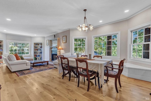 dining room featuring built in features, light hardwood / wood-style flooring, and a healthy amount of sunlight