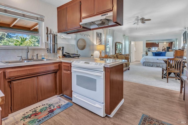 kitchen featuring white range with electric stovetop, sink, light wood-type flooring, and ceiling fan