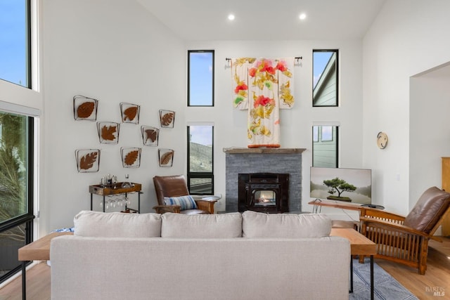 living room featuring a towering ceiling and light hardwood / wood-style flooring