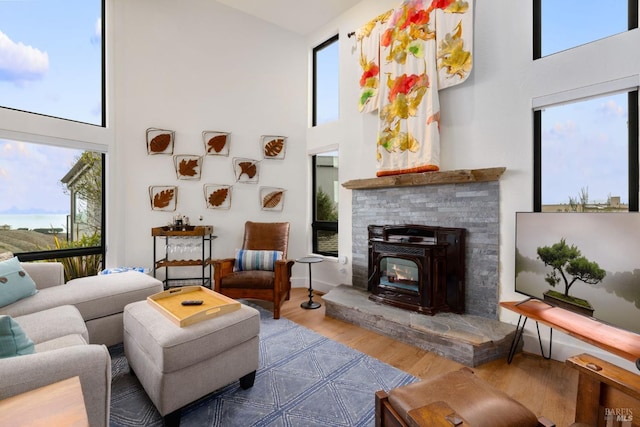 living room featuring hardwood / wood-style floors, a wealth of natural light, and a high ceiling