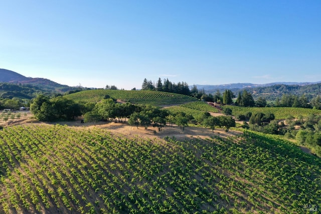 6225 W Dry Creek Rd, Healdsburg CA, 95448 land for sale