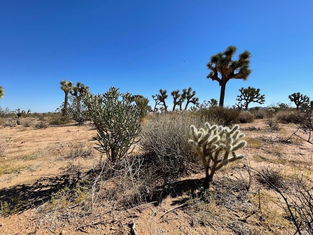 0 Pajara Dr, Yucca Valley CA, 92284 land for sale