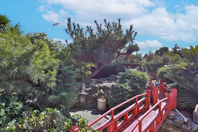 14090 Pine St, Walnut Grove, CA 95690 - view of yard