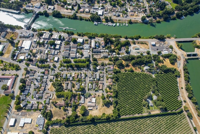 14090 Pine St, Walnut Grove, CA 95690 - aerial view of property and surrounding area with a large body of water