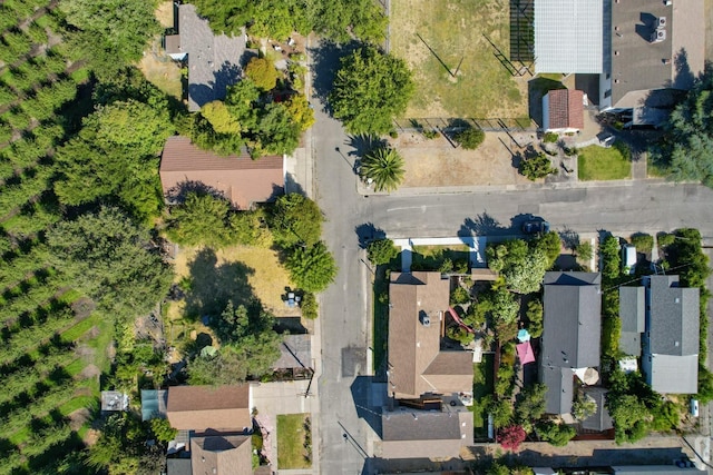 14090 Pine St, Walnut Grove, CA 95690 - bird's eye view