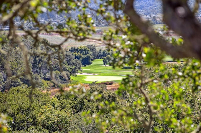 view of property's community with a yard