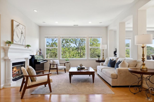 living room with light wood-type flooring