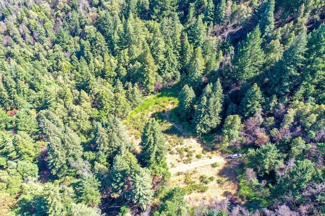 bird's eye view featuring a view of trees