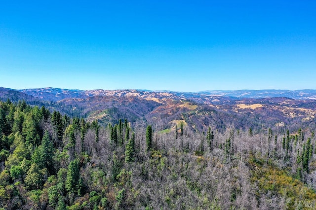 mountain view featuring a forest view