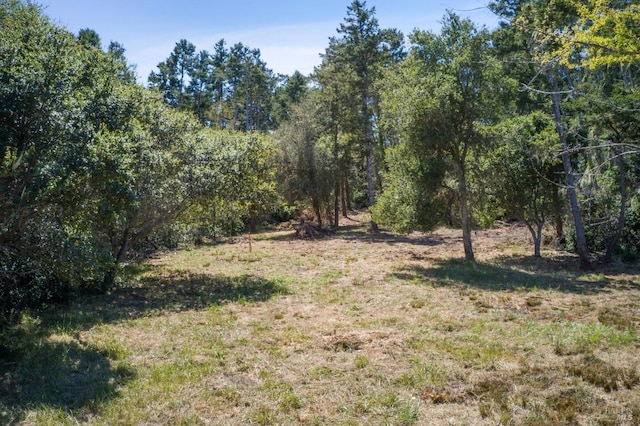 Listing photo 2 for 0 Silver Hills Rd, Point Reyes Station CA 94956