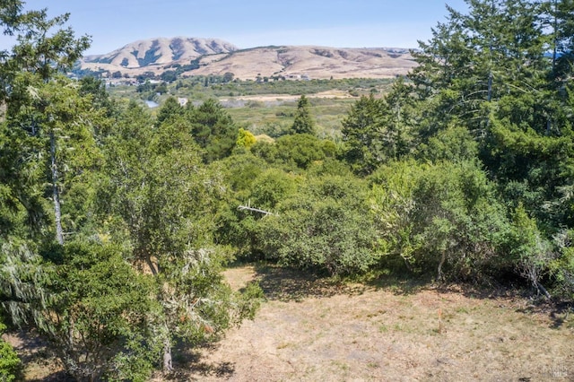 Listing photo 3 for 0 Silver Hills Rd, Point Reyes Station CA 94956