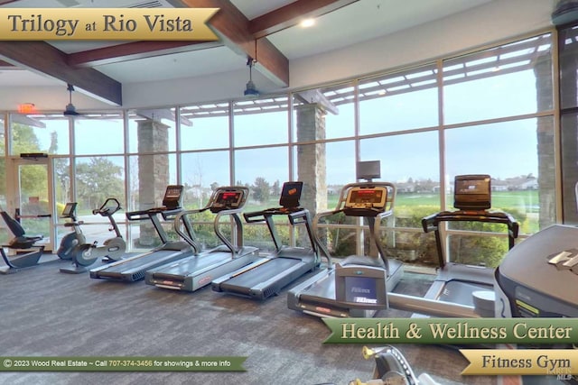 workout area featuring expansive windows, carpet, and ceiling fan