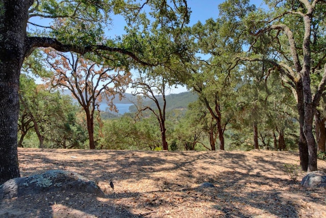 view of local wilderness with a view of trees