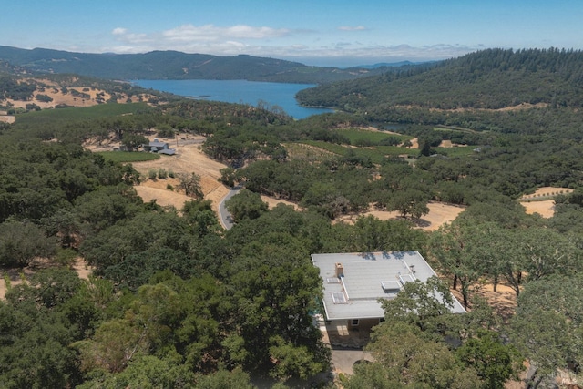 drone / aerial view featuring a forest view and a water and mountain view