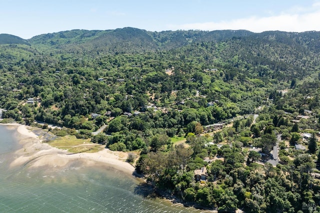 drone / aerial view with a water and mountain view