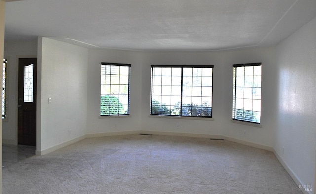 spare room featuring a wealth of natural light and light colored carpet