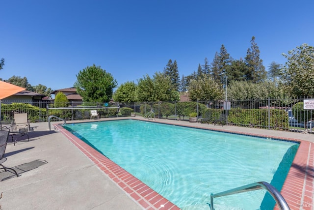 view of swimming pool featuring a patio area