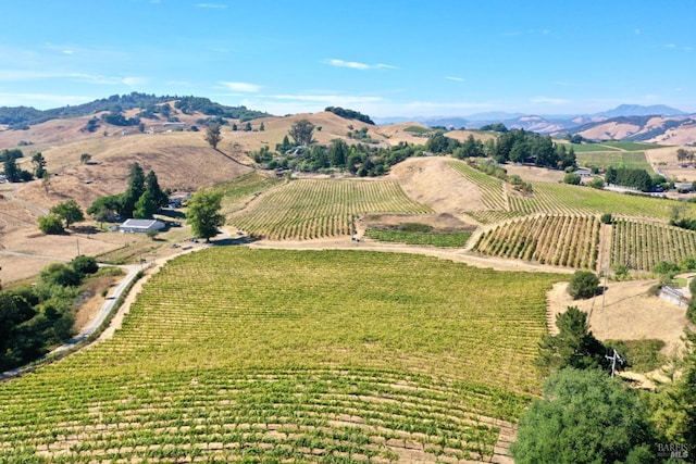 aerial view featuring a mountain view and a rural view