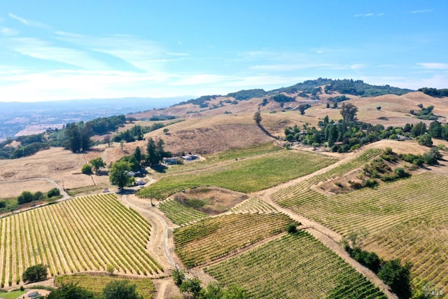 birds eye view of property featuring a rural view and a mountain view