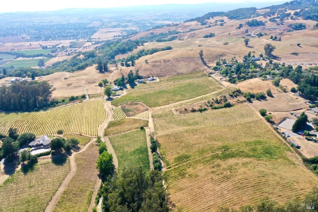 aerial view with a rural view