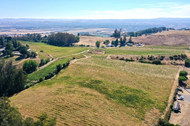 bird's eye view with a rural view