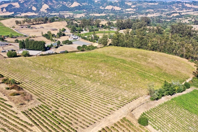 bird's eye view featuring a rural view