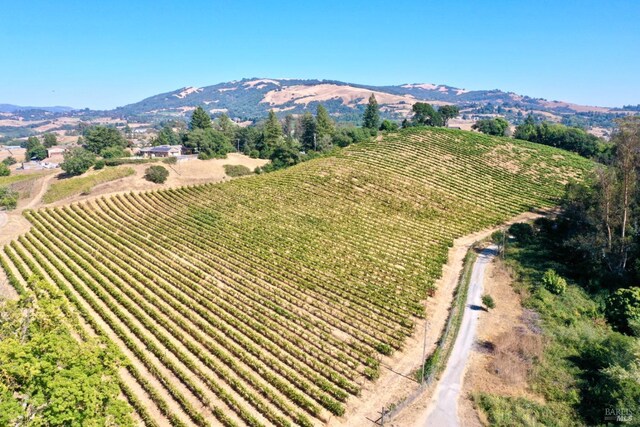 aerial view with a mountain view and a rural view