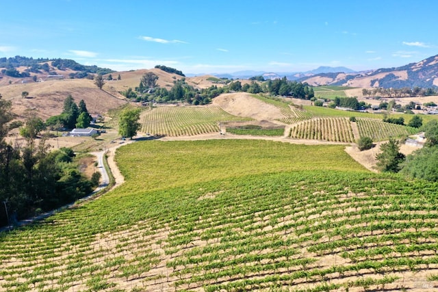 bird's eye view featuring a mountain view and a rural view