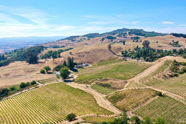 birds eye view of property featuring a rural view