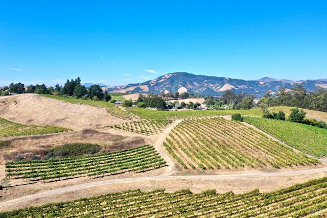 mountain view featuring a rural view