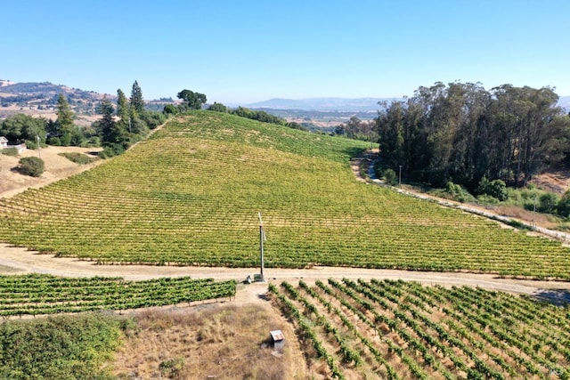 drone / aerial view with a rural view and a mountain view