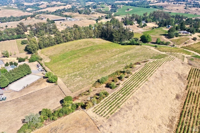 bird's eye view with a rural view