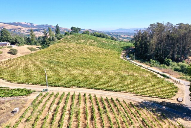 aerial view featuring a mountain view and a rural view